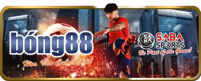 Chính sách quyền riêng tư
